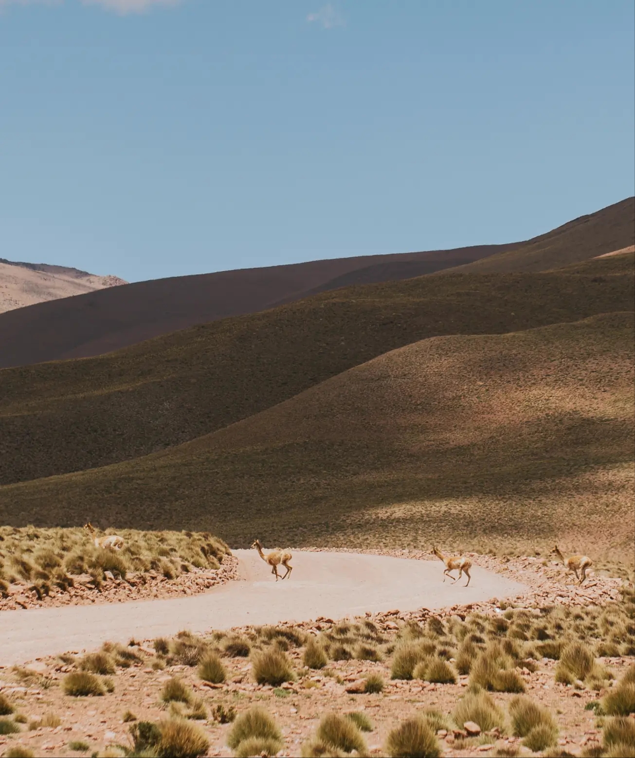 Tres personas mirando una computadora en el patio exterior de una oficina