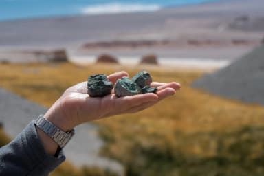 Preservación de la biodiversidad