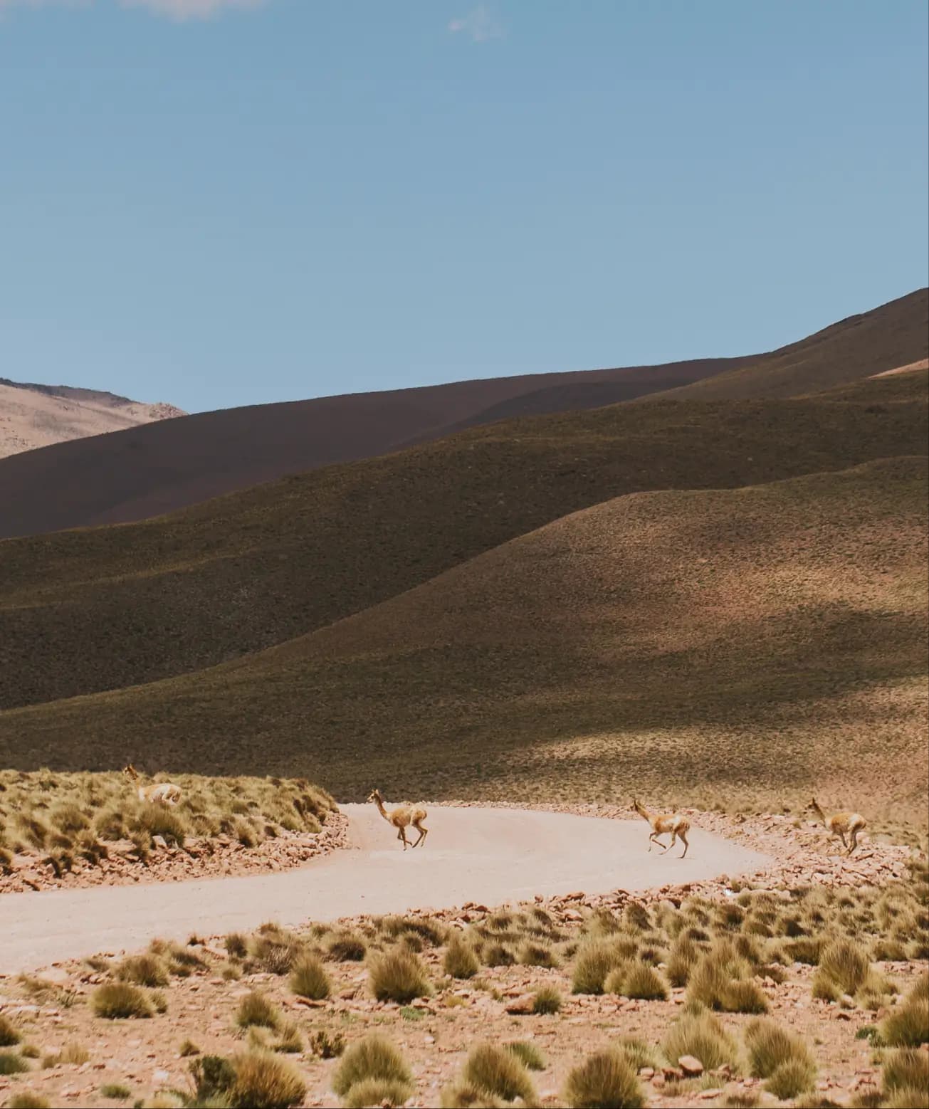 Tres personas mirando una computadora en el patio exterior de una oficina